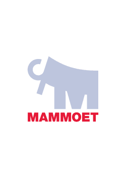 alt description